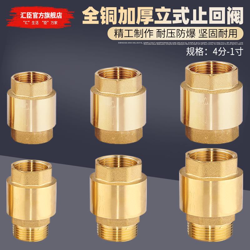 全铜立式弹簧止回阀4/6分
