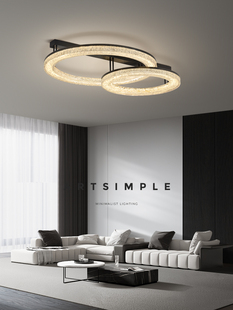 全铜客厅吸顶灯现代轻奢高级感大气客厅主灯全光谱意式 极简客厅灯