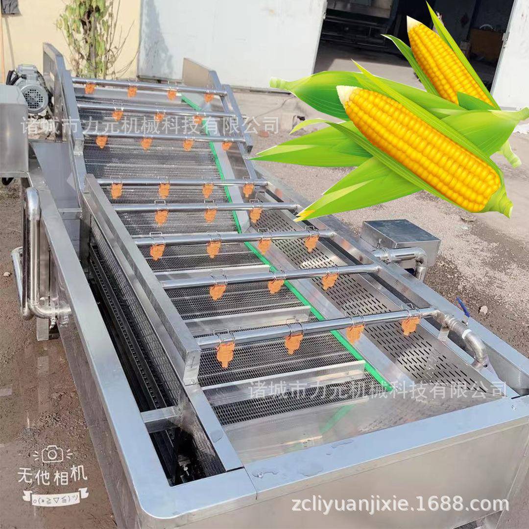 大型鼓泡清洗机玉米大姜果蔬深加工设备全自动不锈钢春笋清洗机