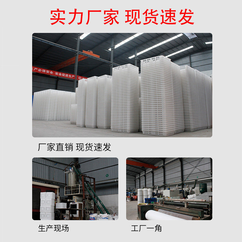 鸡笼周转箱鸭鹅运输筐塑料鸡笼子特大号活鸡周转箱成鸡框养鸡设备