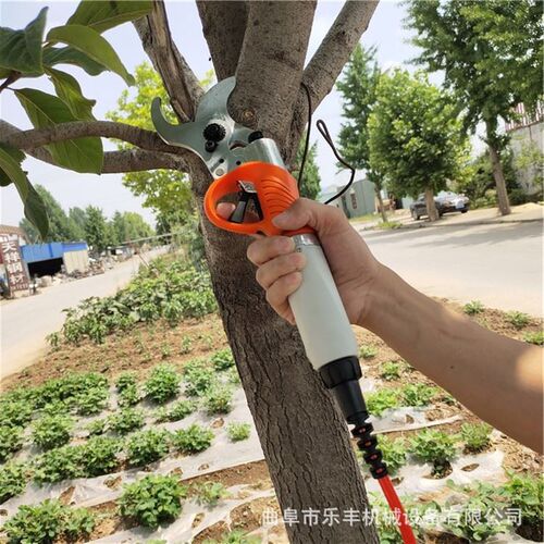 果树修剪树枝电剪子剪枝机 电动修剪树枝剪刀