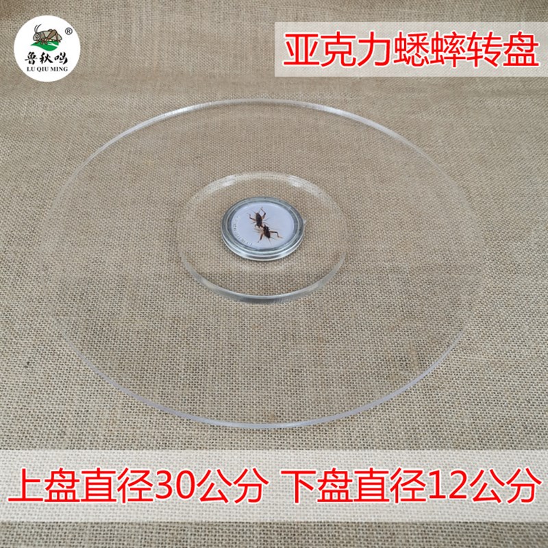 蟋蟀转盘压克力斗虫斗蟋蟀斗蛐蛐转盘斗虫蛐蛐拍照用具用品