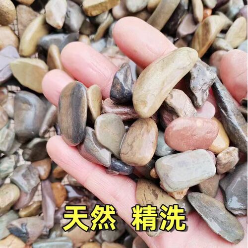 溪流石天然造景底砂溪流沙鱼缸免洗南美水草缸原生雷龙净水鱼底沙