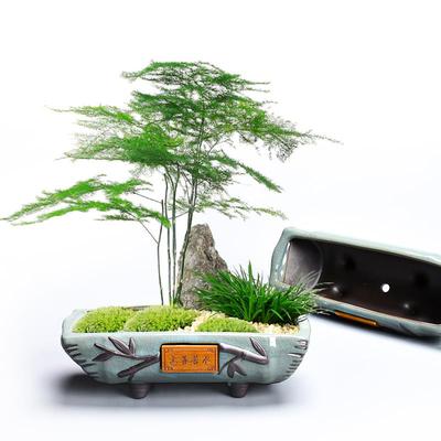 创竹节盆景MY-024盆文意竹造陶景花盆瓷多肉盘植物拼紫砂长方形盆
