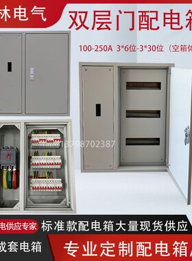 室内双层门总制加空开漏电配电箱 定做照明G动力电气柜C45 100A3