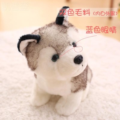抱枕模型名犬阿拉斯加金毛玩偶小型可爱的中号娃娃公仔女朋友狗子