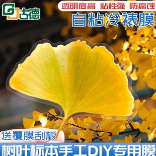 塑封相片膜膜6寸过A6植物过塑膜树A3A4保护膜胶自粘塑封纸覆膜高