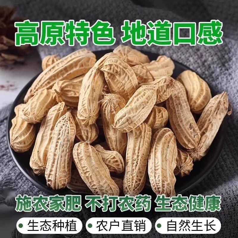 新货云南七彩花生新鲜晒干带壳生熟彩色牛奶七彩野地花生整箱