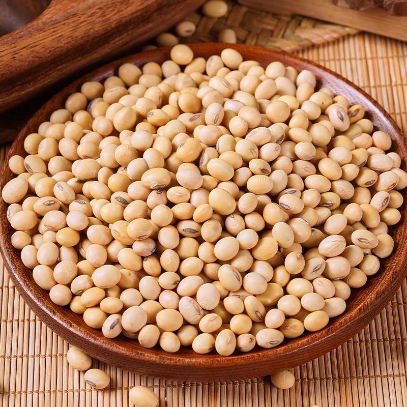 农家自种笨椭圆黄豆500g土大豆长粒肾型酱豆豆浆原料老品种可发芽