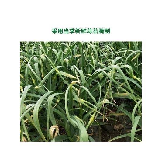 徐州邳州特产干蒜苔农家腌制自晒蒜薹新沂腌蒜台干货下饭菜