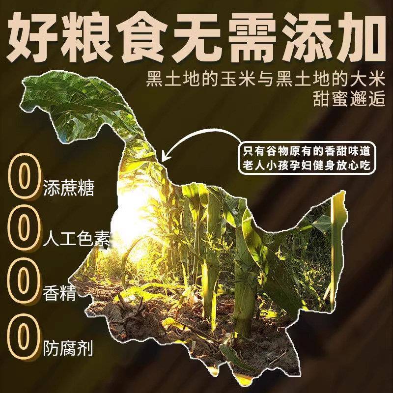 杂粮煎饼即食东北特产早餐发酵煎饼玉米粗粮手工纯软的大米大煎饼