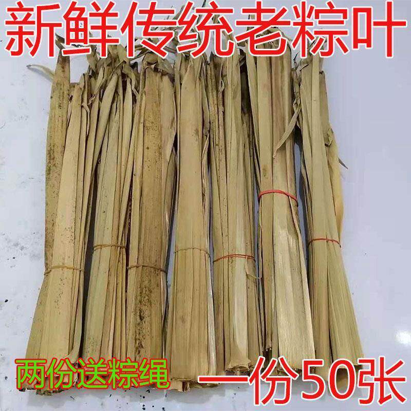 河南信阳大粽叶端午节天然