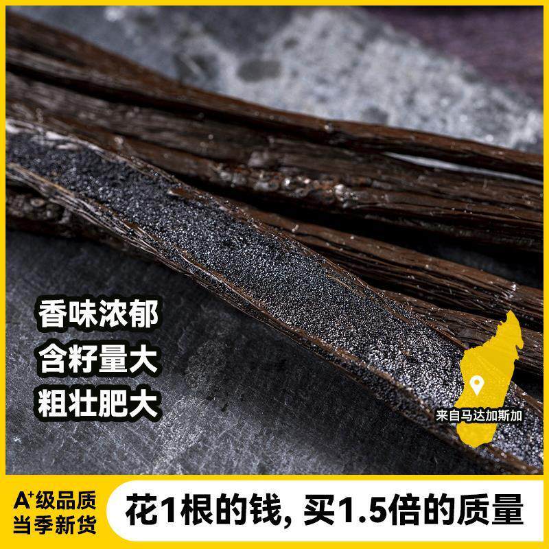 马达加斯加香草荚香草条天