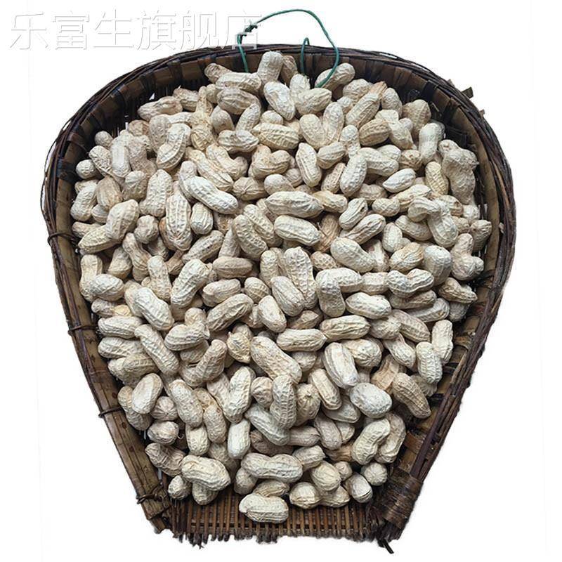 重庆土产綦江东溪年水煮盐咸干 干燥花生日晒干绵子花生零食