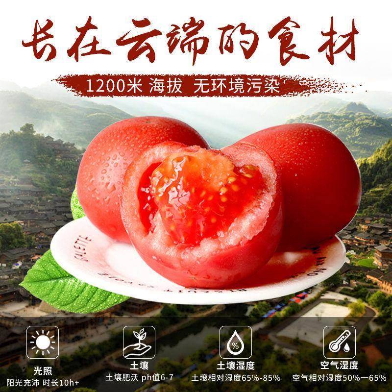 正宗凯里苗家红酸汤料 贵州土特产玉梦番茄肥牛火锅鱼底料旗舰店