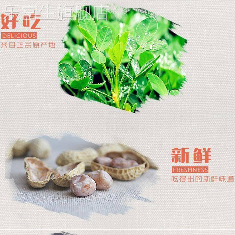 梅州客家特产正宗平远东石花生水煮日晒东石秋花生带壳咸干花生