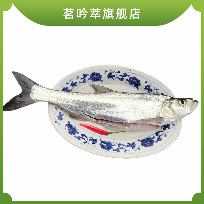 新鲜翘嘴鱼翘嘴白鱼大翘嘴鱼刁子鱼大白刁大白鱼淡水鱼养殖2斤/只