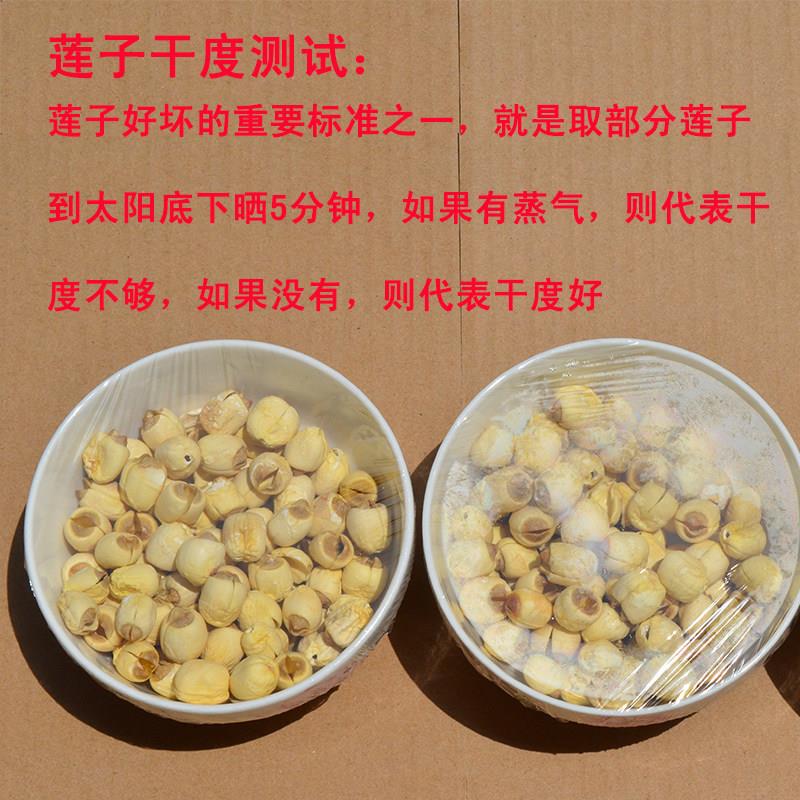 莲小二2025新货去芯无芯广昌莲子干货250/500g特产无硫手工白莲