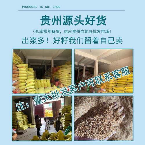 贵州特产手搓冰粉籽200g不加石灰凉粉爱玉籽全套配料家用套餐
