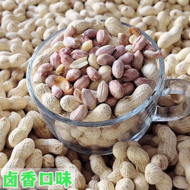 精选新货5斤珍珠小花生带壳蒜香卤味熟花生香酥坚果休闲零食小吃