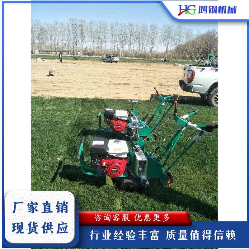 汽油草原起草机手推式后双轮起草皮机小型万向轮天然草坪移植机