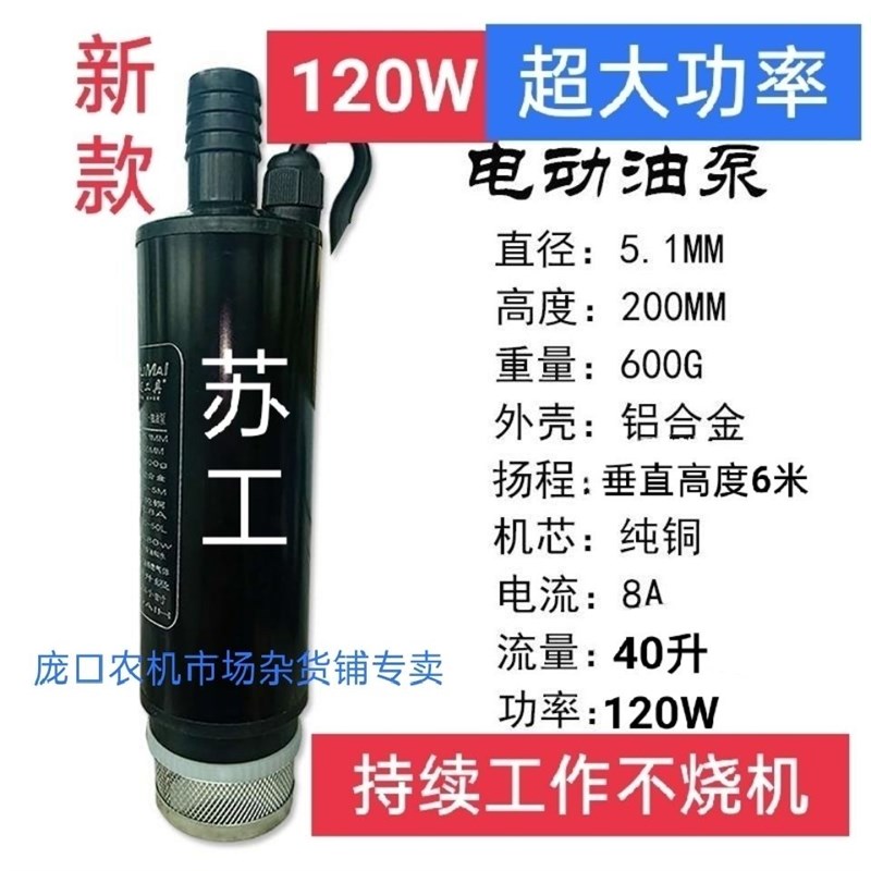 抽水泵大功率120W抽油泵48V12V24DV220伏柴油泵水泵 浇菜泵 洗车