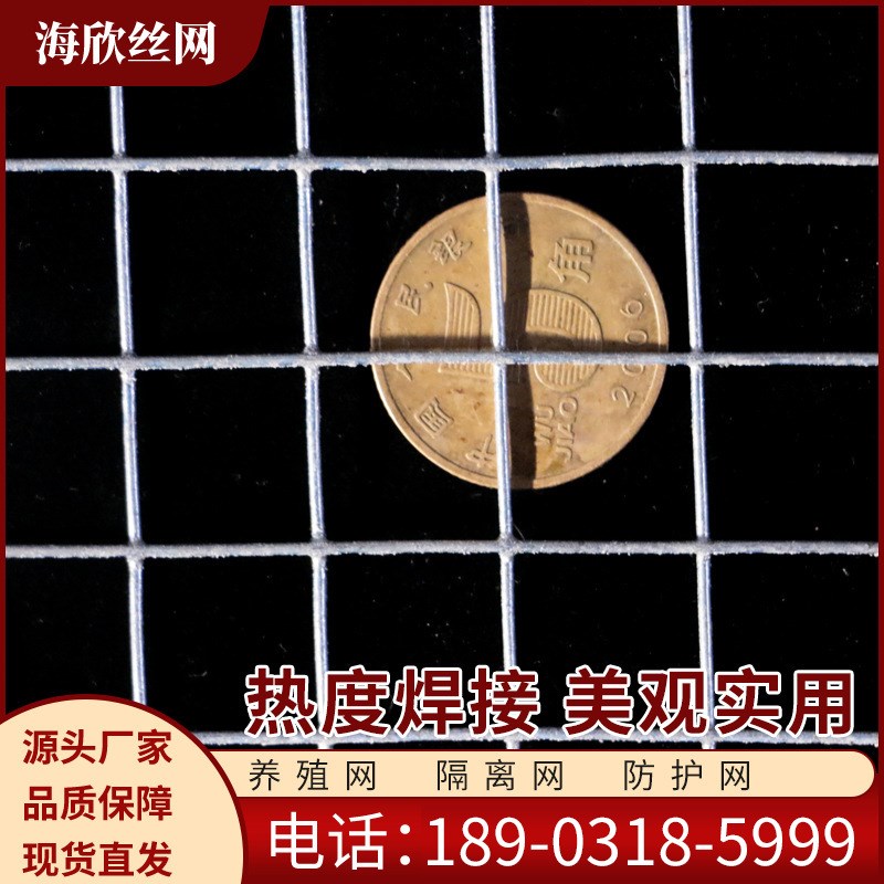 镀锌钢丝网内外墙保温抹灰网桥梁建筑工地碰焊镀锌电焊网片抹墙网