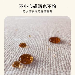 2024法式 地垫家用卧室免洗可擦沙发地毯客厅轻奢高级感新款 复古风