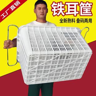 塑料筐加厚长方形镂空水果蔬菜卖菜胶框收纳箩筐塑料周转箩带铁耳