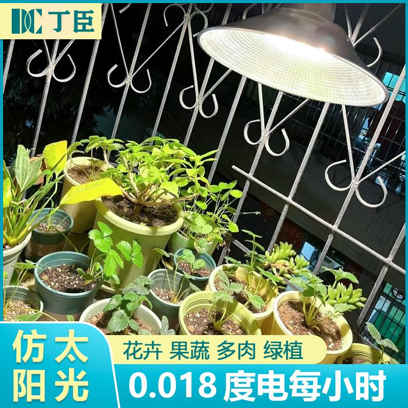 全光谱彷阳光灯太阳光蔬菜草莓花卉育苗室内多肉植物灯植物补光灯