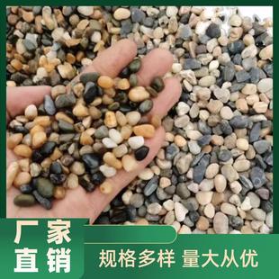 广西过滤石头地暖找平回填专用豆石水洗滤料河卵石鹅卵石铺地造景