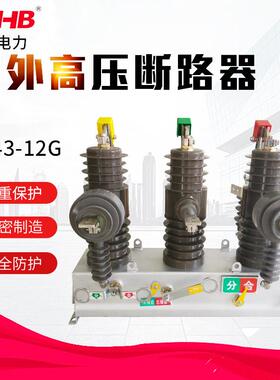 鸿秀高压真空断路器ZW43-12g10KV真空断路器小型化柱上断路器