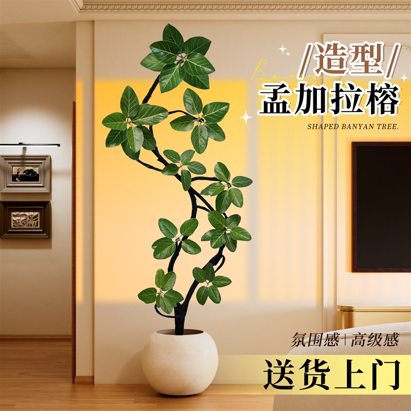 造型幸福树客厅大盆栽老桩绿植高级感室内大型平安树植物四季好养