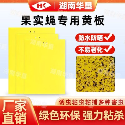 黄板果实蝇桔小实蝇诱粘板防水防晒双面粘虫大棚诱虫板