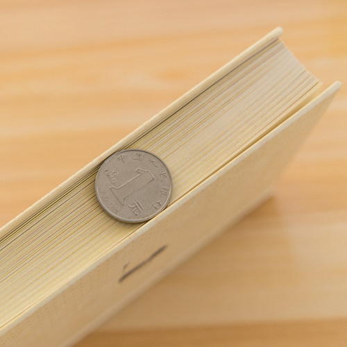 呆猫彩页手账本可爱清新文艺 插画手绘笔记本子手绘风日记本简约