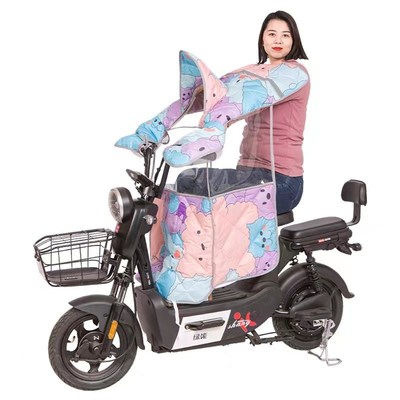 电动车挡风被亲子夏季帽子款四季通用双面防水防晒防雨儿童遮阳罩