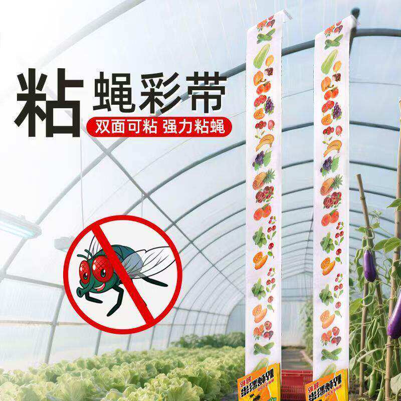 家用双面悬挂持久粘蝇纸