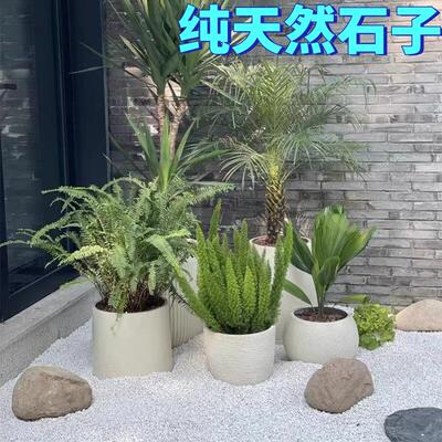 白石子小白石头50斤装大鹅卵石铺路白色石子铺地庭院造景景观石子