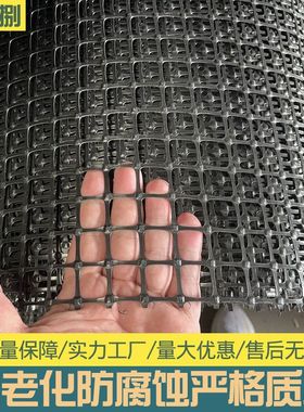 土工格栅黑色塑料网养鸡鸭养殖网圈玉米网果园圈地围栏黑胶漏粪网