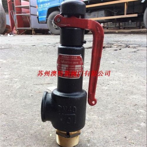 A27H-10T弹簧式安全阀 微启式安全阀 丝口蒸汽管道安全阀 泄压阀
