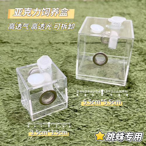 跳蛛高透生态造景饲养盒