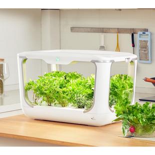 蔬坦室内种植机智能无土水培果蔬花卉客厅仿太阳装 饰现代绿植花架