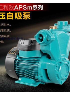 利欧水泵APSm37 60 75 110 高压自吸泵 增压循环帮浦 井用抽水泵