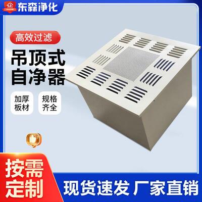 无尘车间洁净室实验室悬吊式天花板式自净器高效过滤器厂家直销