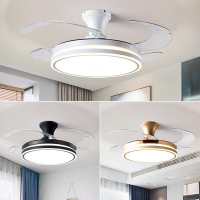 吸顶风扇灯2024新款隐形吊扇灯卧室客厅餐厅电扇灯一体带风扇吊灯