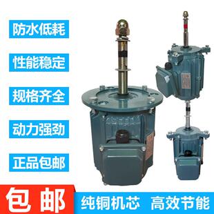 冷却塔散热电机中央空调冷水机冷库凉水塔风机风扇铜线电动机马达