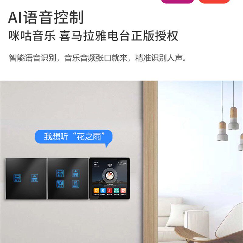 智能家居系统智能开关86型功放语音家庭背景音乐主机系统套装