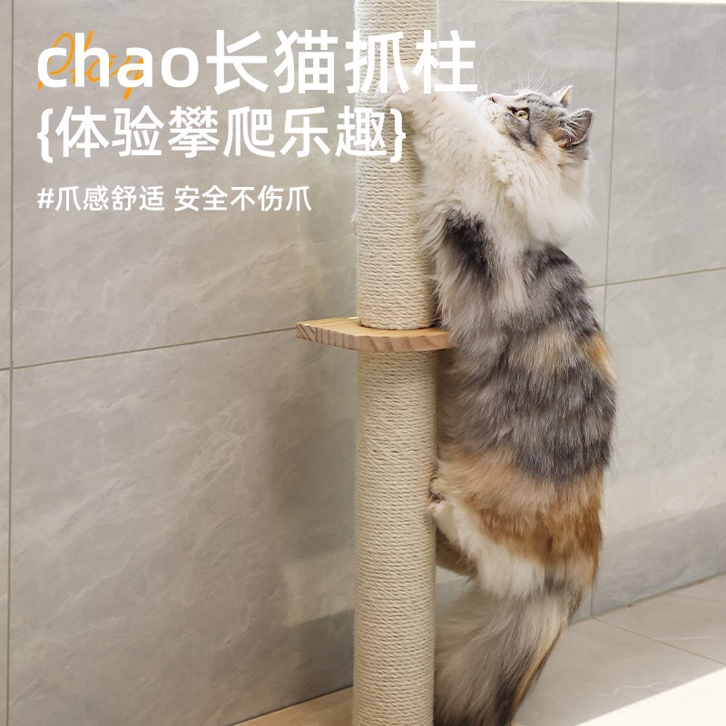 猫爬架家用通天柱猫抓板猫窝猫树一体靠墙占地小猫跳台实木猫架子