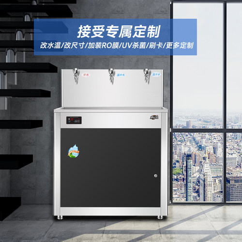 直饮水机商用开水器大容量工厂幼儿园温热反渗透学校纯水机冷热器