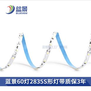 60灯2835任意折弯s形蛇形灯带迷你字发光字 蓝景led软灯条贴片12v